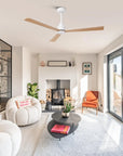 52" Esther Modern Ceiling Fan