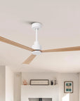 52" Esther Modern Ceiling Fan
