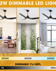 52" Aerix Modern Smart Fan