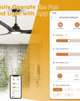 52" Aerix Modern Smart Fan
