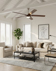 65" Fury Farmhouse DC Ceiling Fan