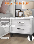Lucien Contemporary Wood Nightstand with Spacious Drawers