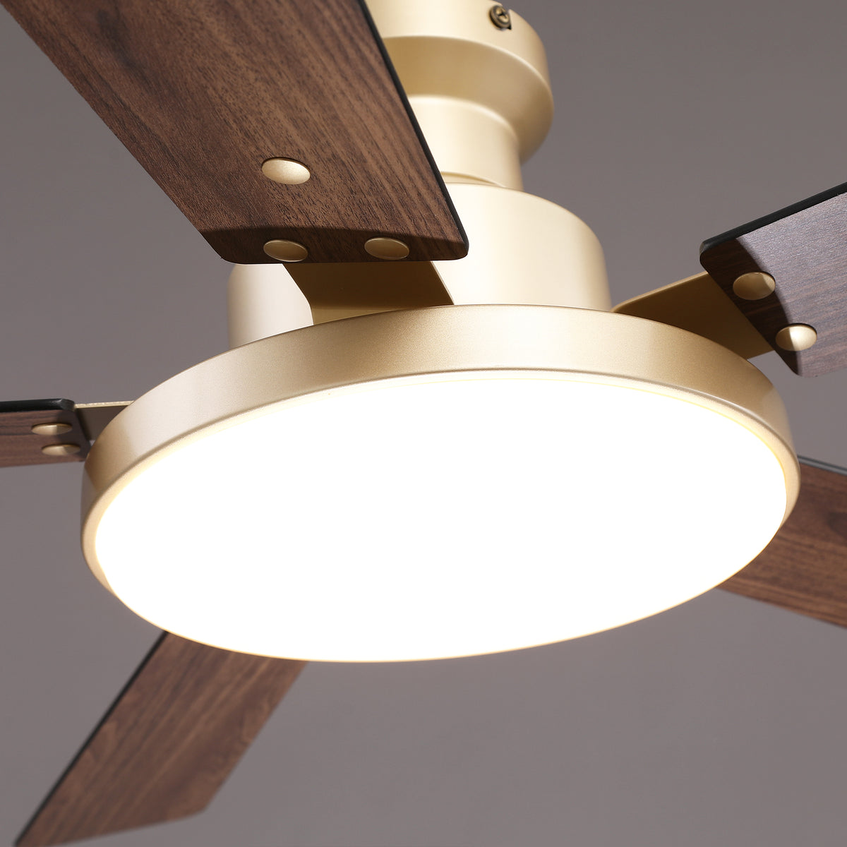 52" Auren Modern Brass Flush Mount LED Ceiling Fan with Reversible Blades