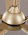 52" Norell Modern LED Ceiling Fan with Reversible Blades
