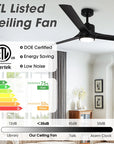 60" Hamptons Black Ceiling Fan