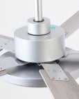Vaczon 52" Double-sided Blades Ceiling Fan