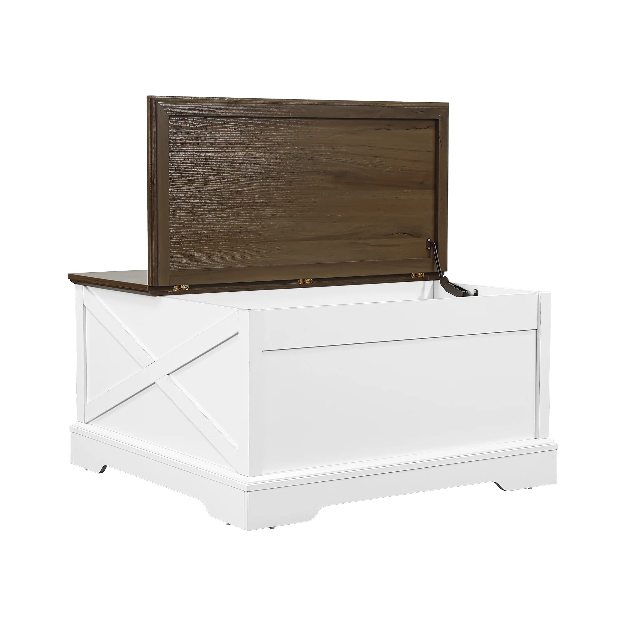 31" Modern Lift Top Coffee Table with Storage Cabinet
