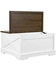 31" Modern Lift Top Coffee Table with Storage Cabinet