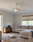 52" Norell Modern LED Ceiling Fan with Reversible Blades