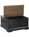 31" Modern Lift Top Coffee Table with Storage Cabinet