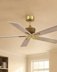 52" Rex Soft Brass Ceiling Fan