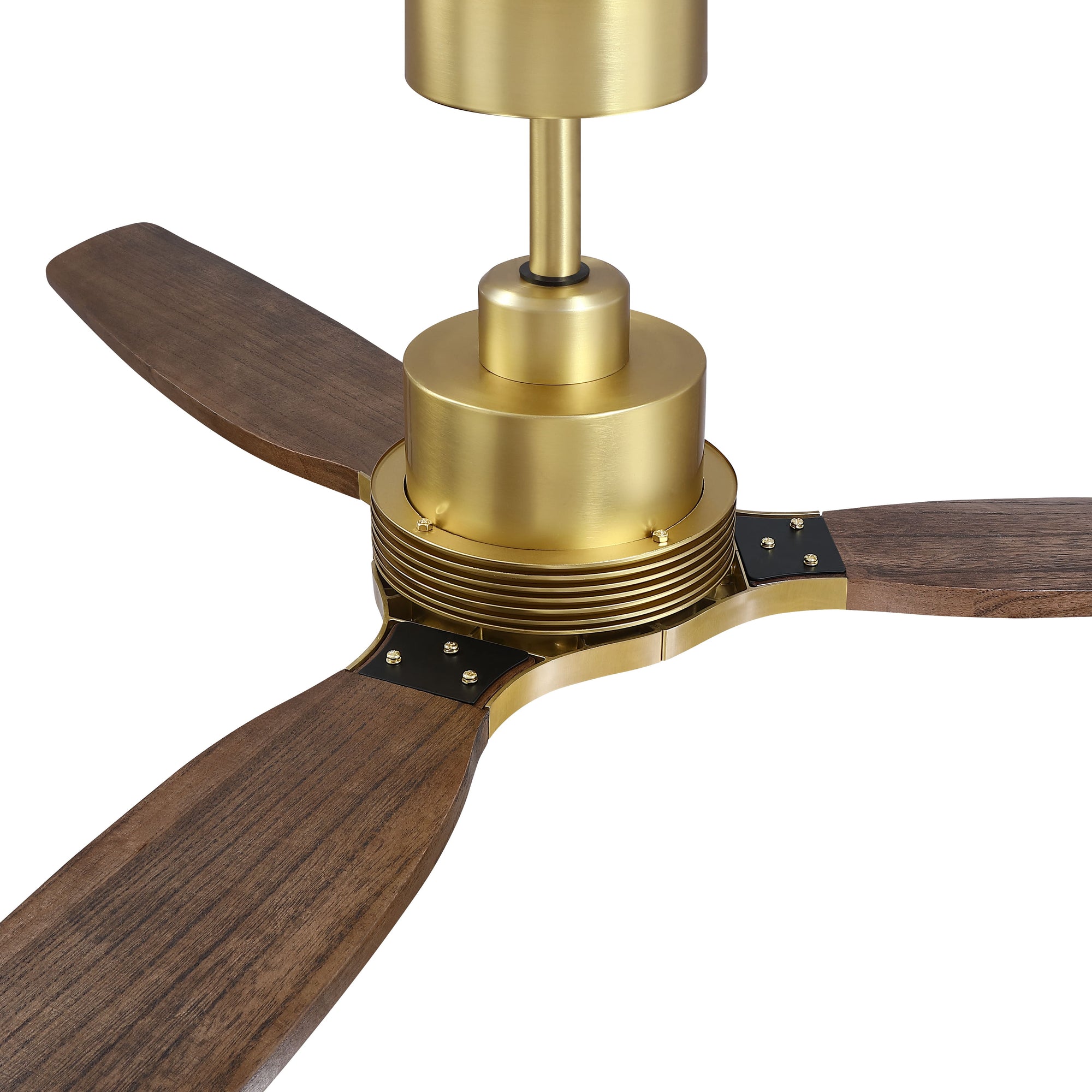 56" Modern Soft Brass &amp; Solid Wood Ceiling Fan, No Light